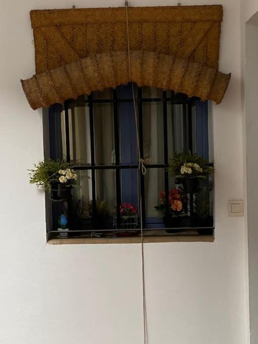 Hispalis Casa Pilatos 塞维利亚 外观 照片